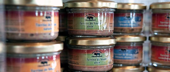 Terrines de bison